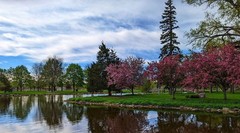 MH Nature & Landscape Photographs – Flowers Trees Water Landscapes 16×20 Canvas.