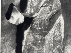 WOLS, Meat, Paris 1939, Photograph from Estate, Pen Art, 1998
