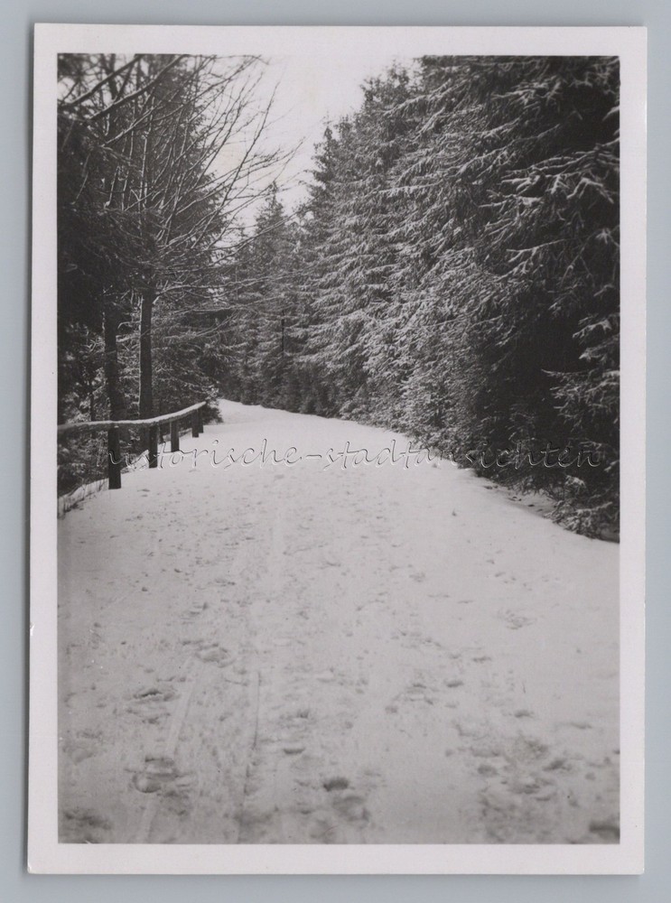 Gehlberg Suhl 1937 – Forest Trail in Winter – Old Photo 1930s