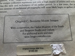 Original Vintage Photography from C. Bennette Moore signed Old Oaks Louisiana