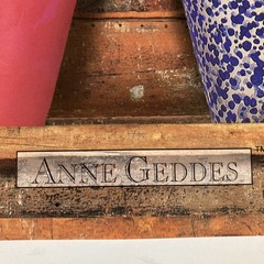 Ann Geddes, Babies in Costumes and Flower Pots. Original Poster #8381