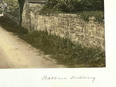 Large Rare Wallace Nutting w/Dog «Patti’s Favorite Walk» Hand Colored Photo