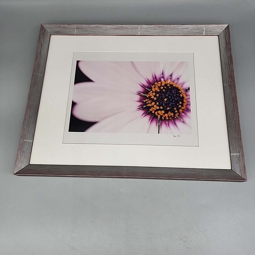 Professionally Frame Flower Photograph Signed Pink Silver 12×17″