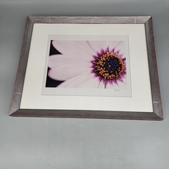 Professionally Frame Flower Photograph Signed Pink Silver 12×17″