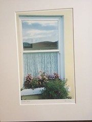 BRUCE BLUM SIGNED COLOR Photo Print (16″X 20″)-«Window Dalias «