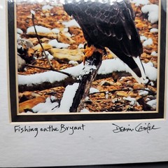 Bald Eagle Print Photo With Double Matte Signed Dennis Crider