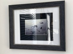 SAILFISH Baitball Signed Chris Doherty 5×7 B/W Photo | Matted & Framed 16.5×13.5