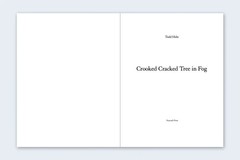 TODD HIDO Nazraeli One Picture Book 60 Crooked Cracked Tree
