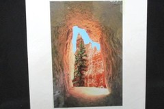 Bryce Canyon Matted Print Photograph 10×6.5 by Marilyn Affolter Art Photo