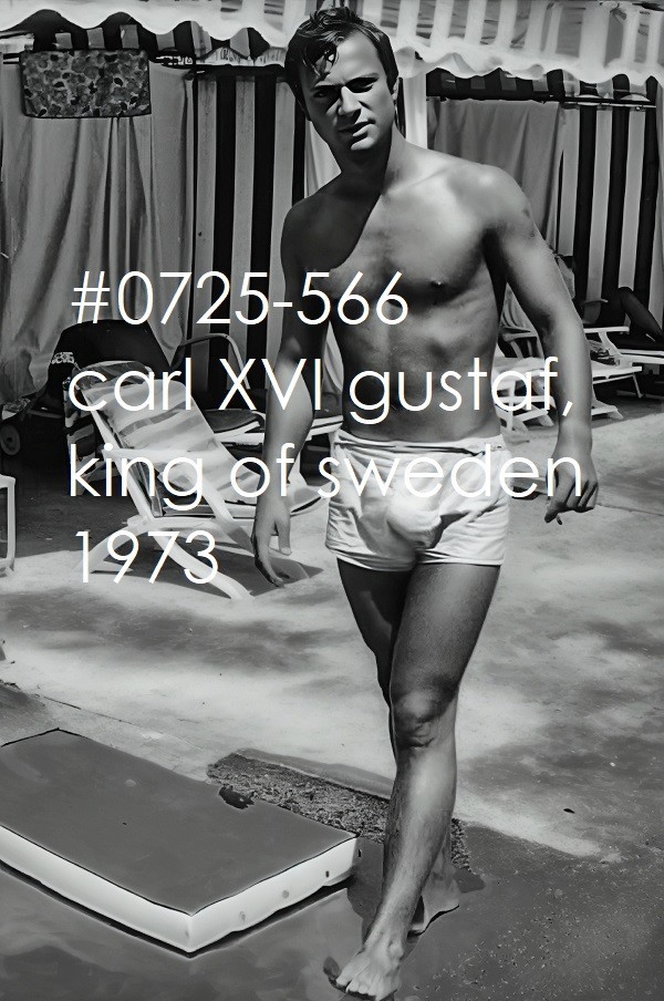 VINTAGE MALE PORTRAIT #0725-566 -king carl XVI gustaf 1973 -free shipping in usa