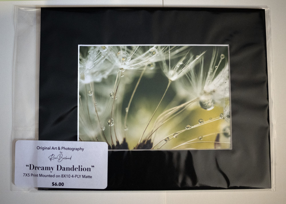 ORIGINAL MATTED PRINT – DREAMY DANDELION