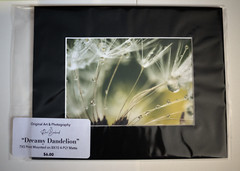 ORIGINAL MATTED PRINT – DREAMY DANDELION