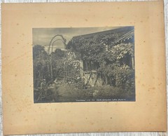 Collection of HENRY BUERGEL GOODWIN Uto Sweden & Portrait GELATIN Photographs