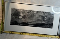 Michael A Smith Photography Signed Shore Acres #6 Oregon 1979 8×20 Print + Frame