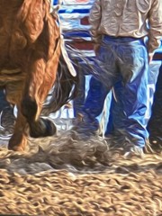 RARE Artist Photographer Catie Moore Signed Photo Filter Framed Art Rodeo 2013
