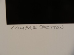 Original 2018 Charles Fendrock Lampas Shell Photograph