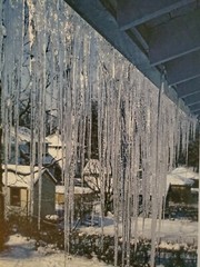 ICICLES LARGE ORIGINAL SIGNED ART PHOTO COLOR STETTNER VTG MATTE NJ CAMERA
