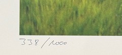 Gisela photo, barley penis, photograph, 1992, autographed and numbered