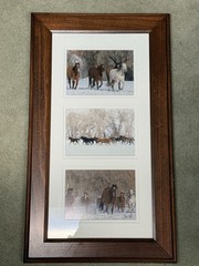 Tri Photo Horse Themed Piece In Wood Frame Signed