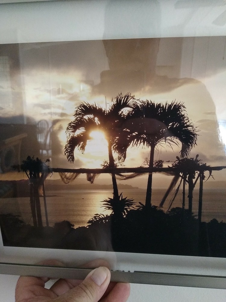 Metal Framed Palm Trees At Sunset 11 X 14