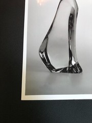 Rare Official Vintage Baccarat – France Fine art B&W Photo (Rigot Cats)