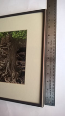 Jay Anderson Photograph Minnesota Gooseberry Falls Framed Art Forest Waterfall