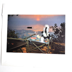 Book Plate Norfleet 1985 5-1/8 X 7-5/8 Skunk and strawberries on Great Pond