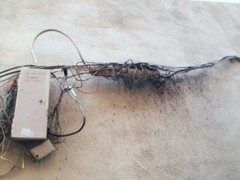 SOCIALIST STATE OF THE ART WIRING