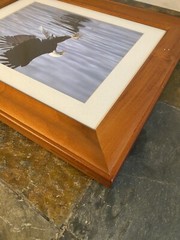 Bald Eagle “Walk On Water” Solid Wood Frame Hand Signed Photograph Lichtenberger