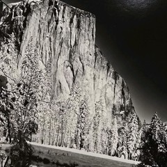Robert Werling Signed Yosemite El Capitan Original Photo Print Mounted 20×24