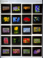 ALAN PAPPE Original 35mm Color Slide Transparency Collection Art Photography 197