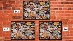 Fall Colored Dead Leaves 1, High Resolution Image, Many Formats, TV Art