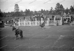Negative-Rodeo-Festival-Colorado-Mountain-USA-United States of America-1930s-25