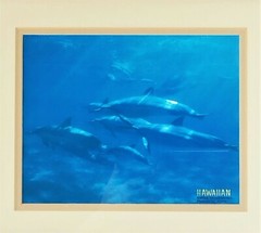 Vintage Solid Oak Frame w/ Art Photo Print Picture Hawaiian Ocean Scene Dolphins