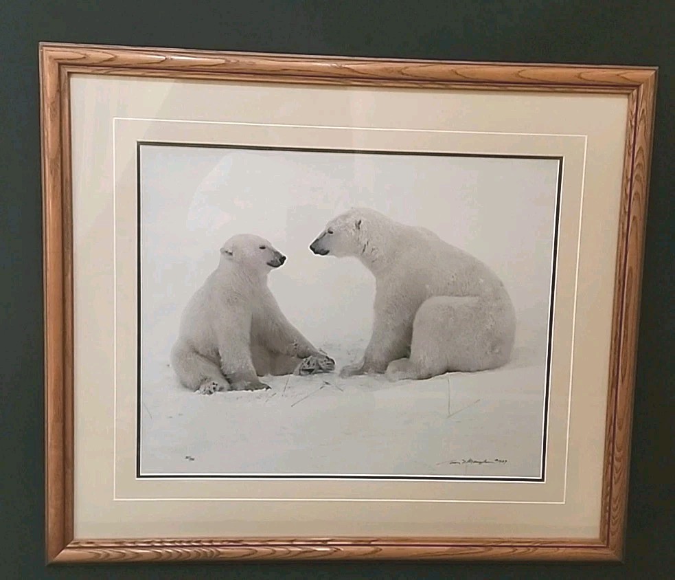 THOMAS MANGELSON – Polar Expressions Limited Edition 387/950 Sold Out Series HTF