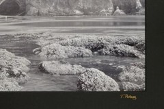 Tom Adams Nature Photography Cape Creek Bridge Oregon B&W Photo Art 11X14