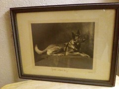 Dog Art Collectibles Dog Photograph Antique Collectibles Images 
