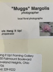 Flowers Photography by: “Muggs” Margolis Framable Art 5 X 7 New