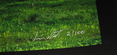 Vince Street’s «Moulton Barn» Limited Edition Print #2/100 (16×48″) with COA