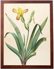 Poster Frame A3 -Actual Fits 11 3/4×16 1/2 inch Photo,Print,Poster,Portrait o…