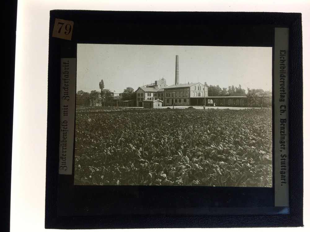 Original old glass slide/plate sugar factory & beet field approx. 1924 8.5x10cm SW-