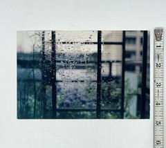 Marsha Burns 2001 Photography Show Announcement Card – Cowles Gallery