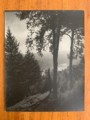 Eleanor Parke Custis c1930s Bromide Photograph of Berkshires, Massachusetts