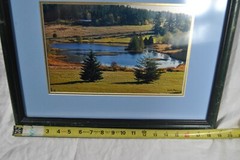 Framed & Matted Photograph by Susan Slapin WA. USA Aluminum Metal Print Signed