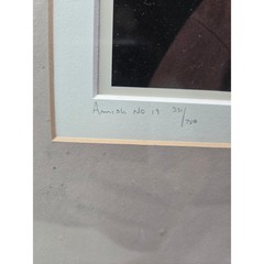 Photographer Bill Coleman Amish No 19 331/750 16×20 framed
