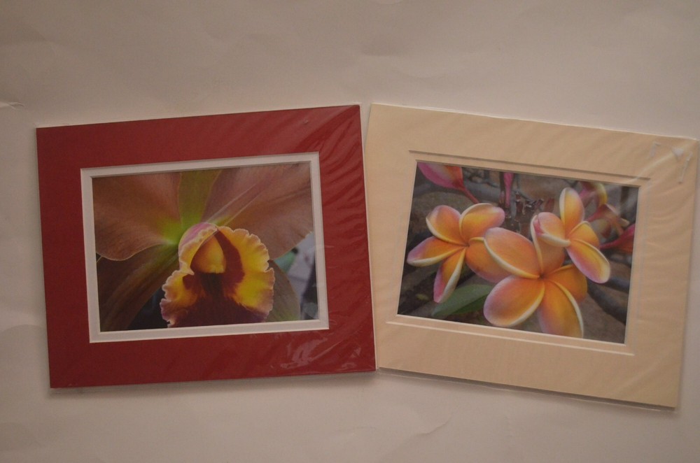 Set of (2) Hawaiian Flowers Orchid & Plumeria Photos By Michael Cheang