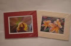 Set of (2) Hawaiian Flowers Orchid & Plumeria Photos By Michael Cheang