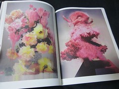 Japanese Photographic magazine «IMA» vol. 5 2013 super rare