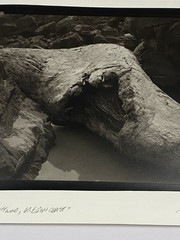 Jim Fitzgerald Driftwood Oregon Coast Signed Photograph Carbon Transfer