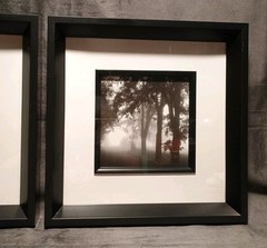 2 Modern Black & White Photography Trees Minimalist Moody 11.25 » Square Frames